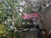 Отзыв покупателя Ramonki - Елена фото №1