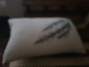 Отзыв покупателя Ramonki - Евсеева Полина Сергеевна фото №1