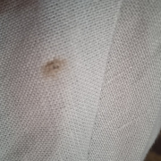 Отзыв покупателя Ramonki - Людмила Янковская фото №1