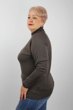 Свитер прямой силует с длинным рукавом реглан и ластичной стойкой Полесье С3316-15 5С1754-Д43 158,164 перчинка - фото 2