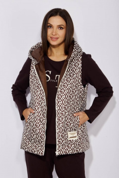 TAiER 1249