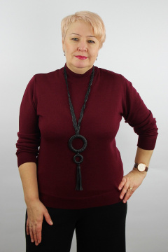 Красный свитер из трикотажа с круглым вырезом и воротником-стойкой Полесье С3731-23 3С8783-Д43 158,164 бургундский - фото 1