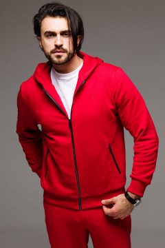 Демисезонный спортивный костюм худи и брюки из трикотажа GO M3060/11-02 - фото 5