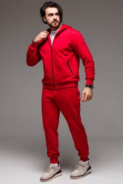 Демисезонный спортивный костюм худи и брюки из трикотажа GO M3060/11-02 - фото 2