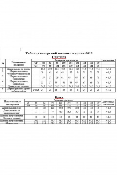 Объемный джемпер и прямые брюки из футера с защипами KaVaRi 8019.1 серый - фото 4