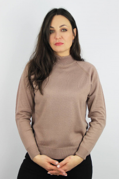 Демисезонный свитер реглан из трикотажа с высоким воротником Полесье С3316-15 5С1754-Д43 158,164 темная_пудра - фото 1