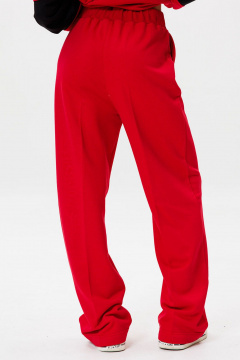 Брюки GO F2065/11-02. 170-176 - фото 2