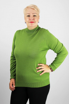 Демисезонный свитер прямого силуэта с длинным рукавом и воротником-стойкой Полесье С3731-23 3С8784-Д43 170,176 васаби - фото 1