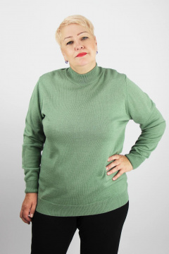 Демисезонный свитер прямого силуэта с длинным рукавом и воротником-стойкой Полесье С3731-23 3С8784-Д43 170,176 молодой_кактус - фото 1
