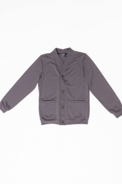 Деловой джемпер из трикотажа для мальчика с V-образным вырезом Pan-Mod 4503 серый - фото 3