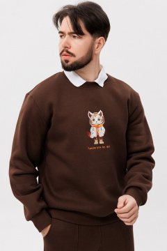 Коричневый свитшот с вышивкой из трикотажа и классическим силуэтом GO m4091/23-03.176-182 - фото 1