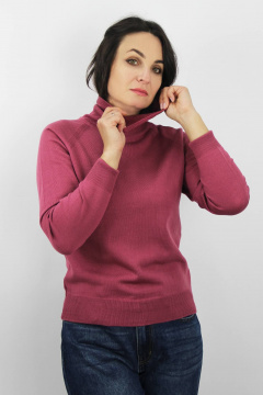 Демисезонный вязаный свитер полуприлегающего силуэта с воротником стойкой Полесье С3433-17 7С1582-Д43 158,164 брусника - фото 1