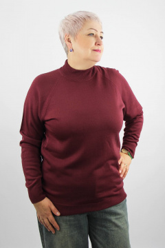 Демисезонный трикотажный свитер реглан с двойной стойкой Полесье С3316-15 5С1754-Д43 158,164 ликер - фото 1