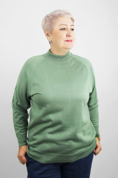 Демисезонный трикотажный свитер реглан с двойной стойкой Полесье С3316-15 5С1754-Д43 158,164 молодой_кактус - фото 1