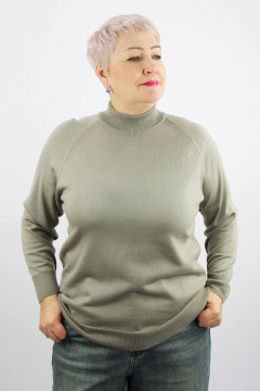 Демисезонный трикотажный свитер реглан с двойной стойкой Полесье С3316-15 5С1754-Д43 158,164 теплый_бежевый - фото 1