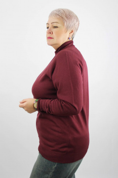 Демисезонный трикотажный свитер реглан с двойной стойкой Полесье С3316-15 5С1754-Д43 170,176 ликер - фото 2