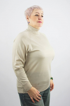 Свитер реглан с высоким воротником для демисезона Полесье С3433-17 7С1582-Д43 158,164 слоновая_кость - фото 2