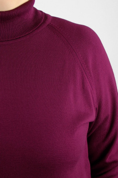 Свитер реглан с высоким воротником для демисезона Полесье С3433-17 7С1582-Д43 170,176 мадера - фото 3