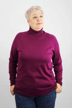 Свитер реглан с высоким воротником для демисезона Полесье С3433-17 7С1582-Д43 170,176 мадера - фото 1