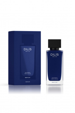 Парфюмерная вода восточные фужерные, 100 мл DILIS Dilis DAY&NIGHT Rainy Day - фото 1