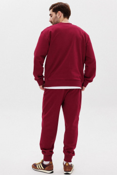 Костюм из хлопка с свитшотом и брюками для активных GO M3107а/12-012.182-186 - фото 2