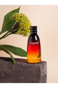 Мужская парфюмированная вода 100 мл утонченный аромат DILIS La Vie Fragrand - фото 2