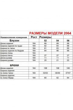 Блуза, брюки Диомант 2064 синий - фото 5