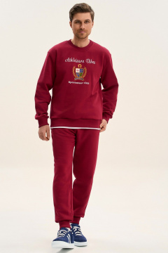 Брюки, свитшот GO M3107E/12-01.176-182 - фото 1