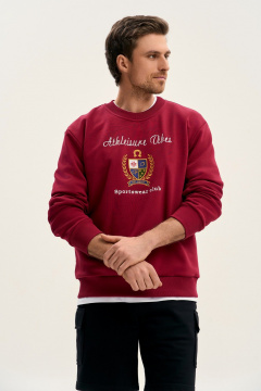 Свитшот GO M4107E/12-01.176-182 - фото 4