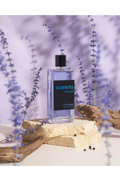 Туалетная вода DILIS LA VILLE "Scento" Actual - фото 4