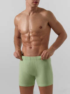 Трусы Mark Formelle 411143/24-4660Ц-5 зеленая_дымка - фото 5