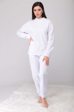 Брюки и худи костюм 2-ка из хлопка для демисезона Fortuna ШЖ 695 - фото 1