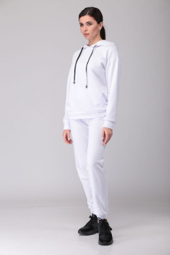 Брюки и худи костюм 2-ка из трикотажа для демисезона Fortuna ШЖ 695К - фото 1