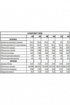 Блуза, брюки EOLA 2858 молочный_черный_принт - фото 4