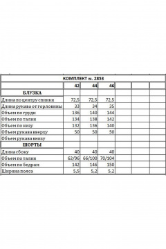 Блуза, шорты EOLA 2853 бежевый_черный_принт - фото 4
