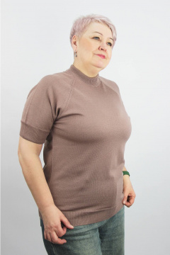 Джемпер Полесье С1205-24 5С2197-Д43 170,176 темная_пудра - фото 1