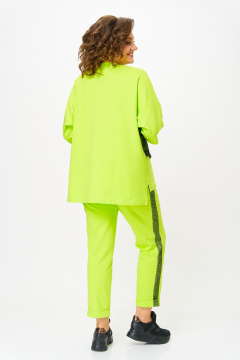 Брюки, джемпер Michel chic 1329/1 салатовый - фото 5