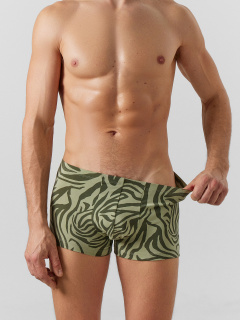Трусы Mark Formelle 411216-2/25-5149П-5 зеленый_тигр_алюминий - фото 5