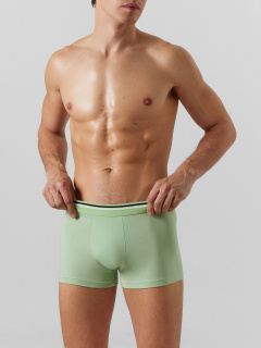 Трусы Mark Formelle 411228/24-4571Ц-5 зеленая_дымка - фото 1