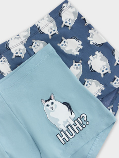 Трусы Mark Formelle 411216-2/25-5149П-5 полынь_коты_на_шторме - фото 1