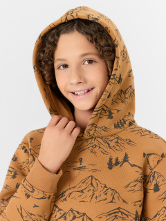 Худи Mark Formelle 123388/25-35908Ц-7П горы_на_цвете_орех - фото 4