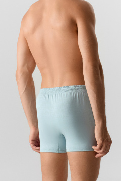 Трусы Mark Formelle 411152/25-4974П-0 MF_на_полыни - фото 5