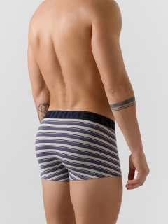 Трусы Mark Formelle 411215/24-4321П-5 полоска_горизонтальная - фото 1