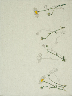 Полотенце Belaruski Len 22С142-ШР+К/п.р. 1 Рамонкi 1 - фото 1