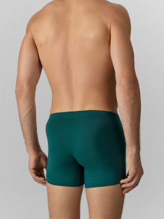 Трусы Mark Formelle 411220/25-4989Ц-5 т.зеленый - фото 4