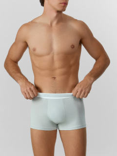 Трусы Mark Formelle 411228-2/25-5164П-5 жемчужный_голубой_мячики_на_зелено_голубом - фото 3