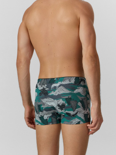 Трусы Mark Formelle 411134/25-4959П-5 дикая_охота_на_т.зеленом - фото 4