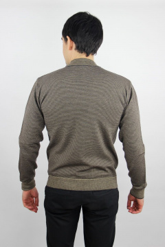 Джемпер мужской из трикотажа с длинным рукавом и бейкой-ластик Полесье С5607-19 9С0256-Д43 170,176 кофейное_зерно - фото 4