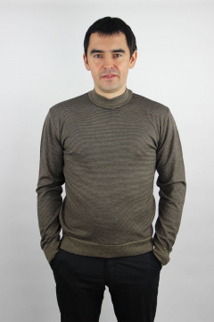 Джемпер вязаный трикотаж демисезонный на каждый день Полесье С5607-19 9С0256-Д43 182,188 кофейное_зерно - фото 1