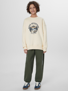 Брюки Mark Formelle 183410/25-36581П-7П хаки_печать1_2_сл_на_ЛВ_дет - фото 1